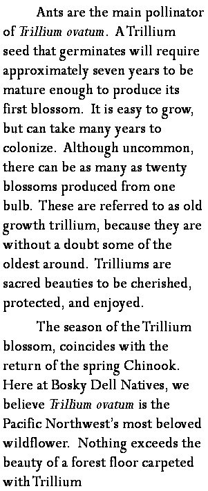 trillium ovatum grow your garden